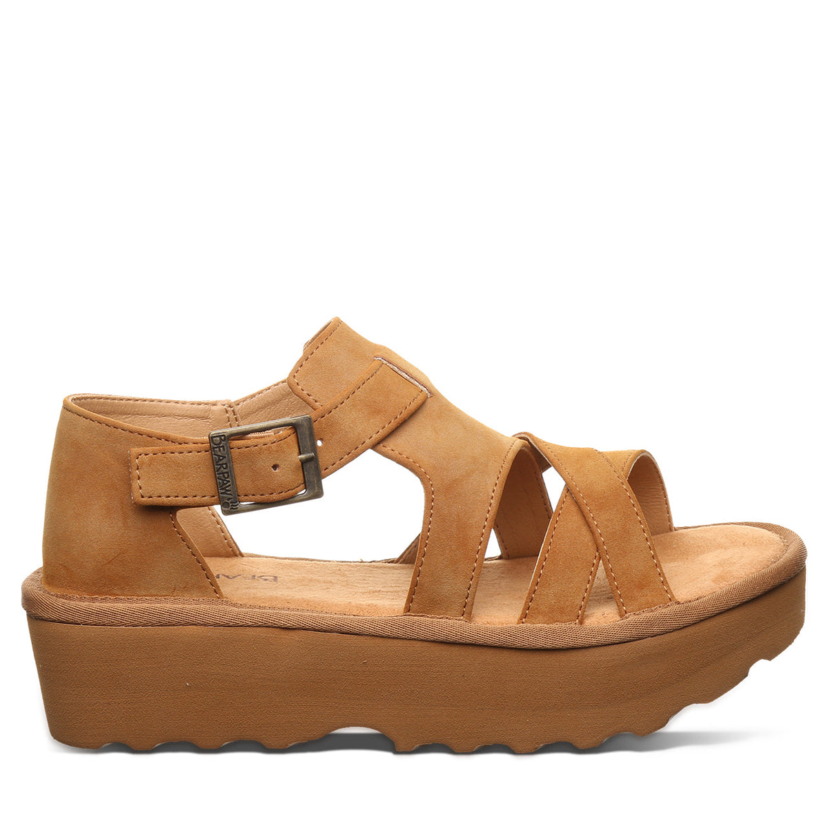 PINNACLE BROWN