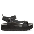 HYDRA BLACK